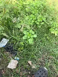 Black-mamba-madingo webcam model stream image