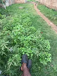 Black-mamba-madingo webcam model stream image