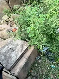 Black-mamba-madingo webcam model stream image