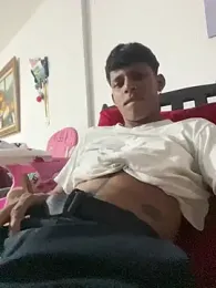 vispera webcam model stream image