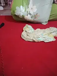 Dustugirl webcam model stream image