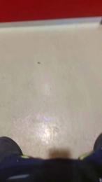 El_lince69 webcam model stream image