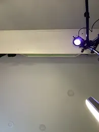 MisFrekcles_ webcam model stream image