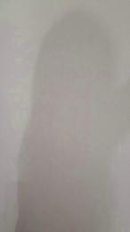 mica224 webcam model stream image