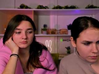 veri-ni webcam model stream image