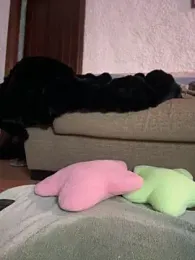 selenaluvv webcam model stream image