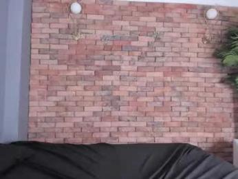 adam_piarse webcam chaturbate model stream image