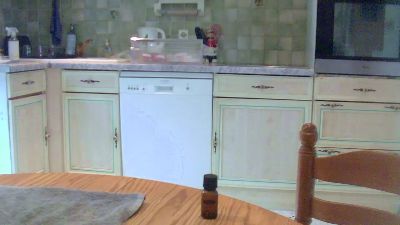 Suisavous webcam model stream image