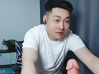 Llpl322 webcam model stream image