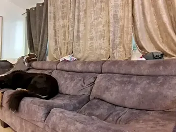 Alexis21821 webcam model stream image