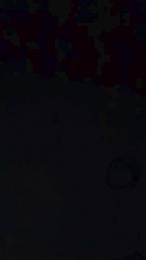 vogliadi6 webcam model stream image