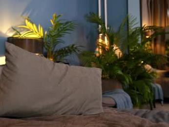 _keti_ webcam model stream image