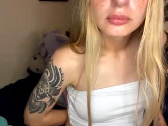 skyiswoke webcam model stream image