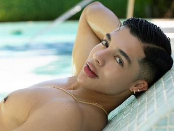 TroyeWill webcam model stream image