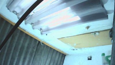 Dotadoph webcam model stream image