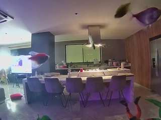 voyeurcam-casa-salsa-fishtank webcam model stream image