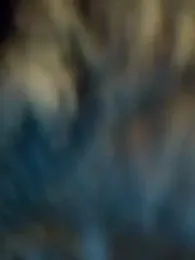 Sami-Hot-Arab webcam model stream image