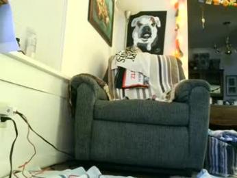 horny_willing_ready webcam model stream image