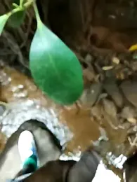 dpkpaksudda webcam model stream image