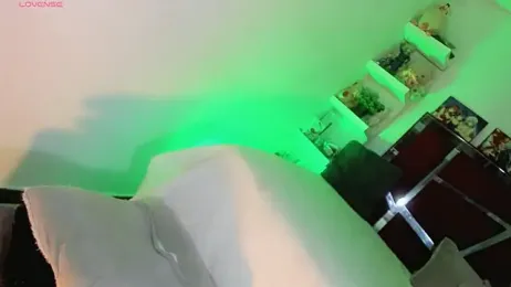 yaneycam webcam model stream image