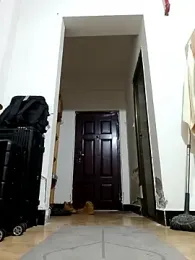 DDYY12341 webcam stripchat model stream image