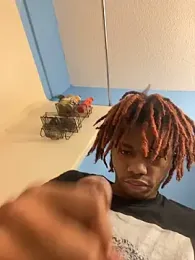 Zayinc webcam model stream image