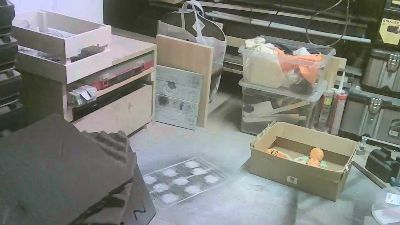 Wiesencoltx webcam model stream image