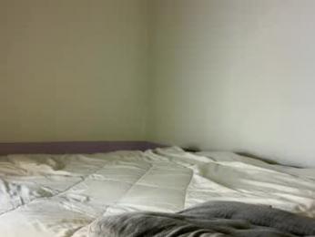 sassykayla webcam model stream image