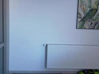 deidi_sweet webcam model stream image