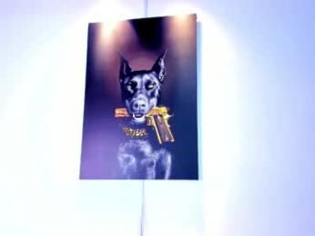 stiiveen_24cm webcam model stream image