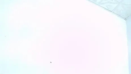 candy_dustano691 webcam model stream image