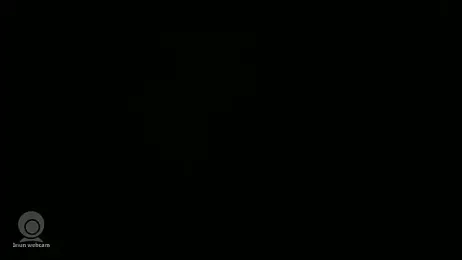 Cubik980 webcam model stream image