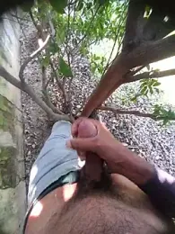 Desi_Horny_Boys webcam model stream image