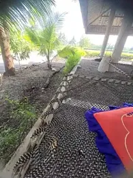 Desi_Horny_Boys webcam model stream image