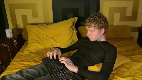 TRAVIS_CLAS webcam model stream image