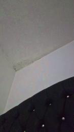 isabella323 webcam model stream image