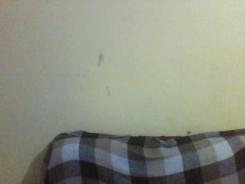 Vitalina272127 webcam model stream image