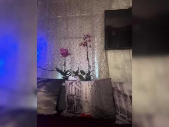 _dashulka_ webcam model stream image