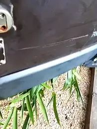 javierlelyonnais webcam model stream image