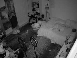 voyeurcam-hornyhostel-02 webcam model stream image