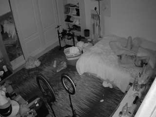 voyeurcam-hornyhostel-02 webcam model stream image