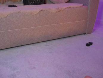 curlynatashaa webcam bongacams model stream image