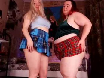 assgives webcam model stream image