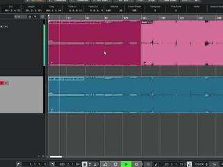 flexonaier webcam model stream image