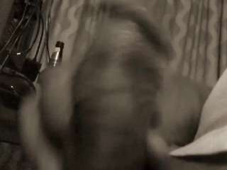 flexonaier webcam model stream image