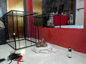 Scarletthomas webcam model stream image