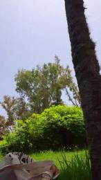 ioanacrazy4 webcam model stream image