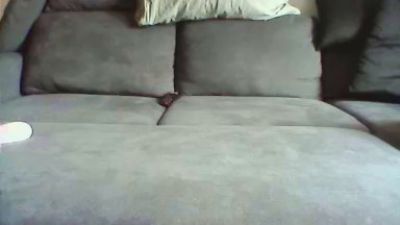 Dolcestellina webcam cam4 model stream image