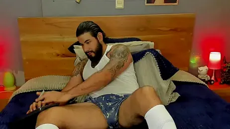 Prometeo-grizzly webcam model stream image