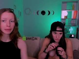 niri-vex webcam model stream image